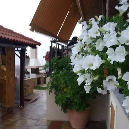 Apartament Mamas Reas Kato Spilaion Zewnętrze zdjęcie